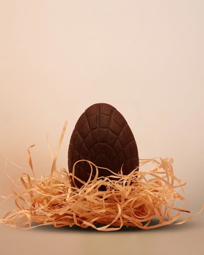 Petit œuf surprise chocolat noir