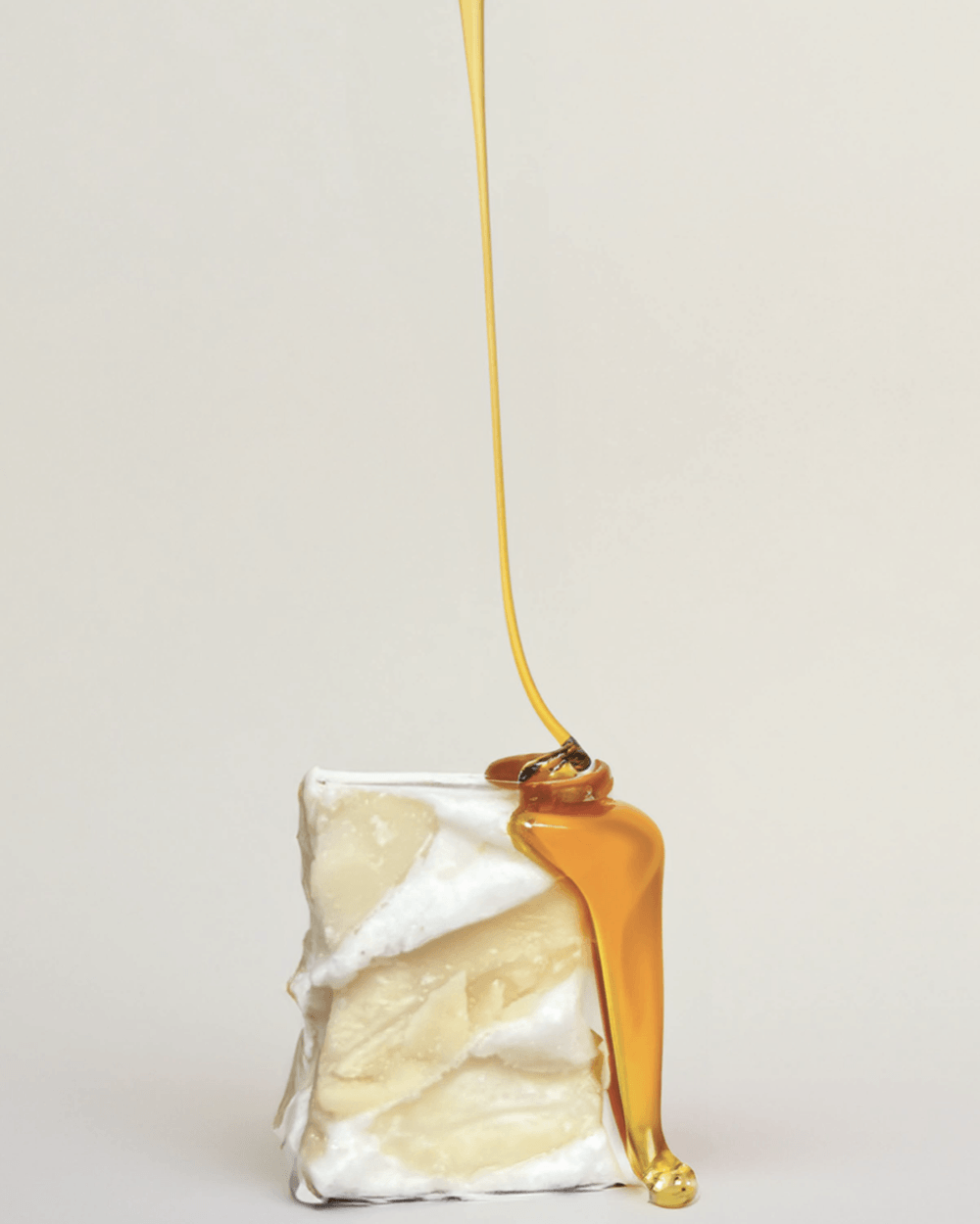 Cat-nougat